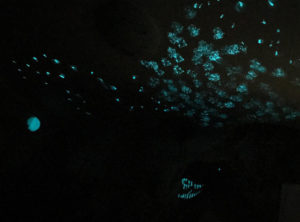 Dinosaurier-Bild mit grün-blauer lumentics-Leuchtfarbe im Dunklen