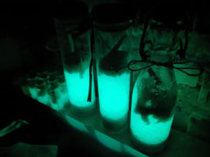 Mediterane Deko im Glas mit den lumentics-Lichtspeichern bei Nacht